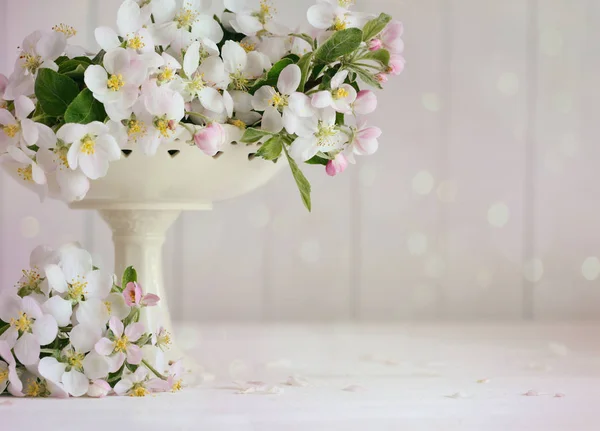 Flores Maçã Vaso Com Fundo Rosa Suave — Fotografia de Stock