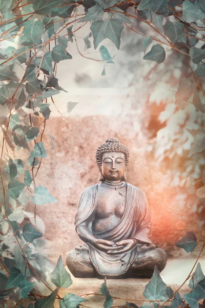 Buddha Trädgård Staty Med Vinrankor Och Äppelblommor — Stockfoto