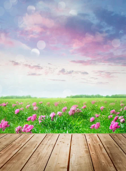 Mesa Madera Con Flores Prado Contra Cielo Verano — Foto de Stock