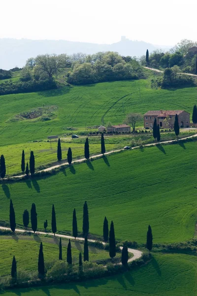 Val Orcia Área Toscana Italia — Foto de Stock