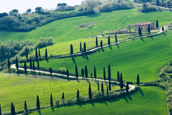 Val Orcia Gebied Toscane Italië — Stockfoto