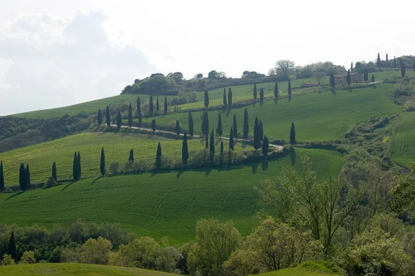 Val Orcia Área Toscana Italia — Foto de Stock