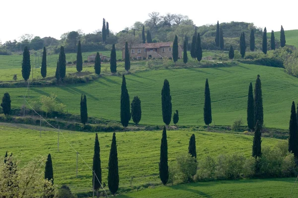 Val Orcia Área Toscana Itália — Fotografia de Stock
