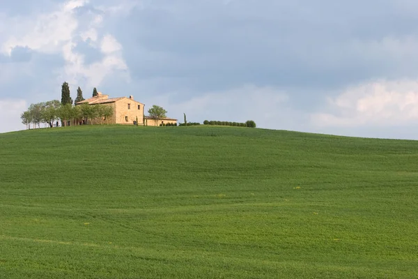 Val Orcia Obszar Toskania Włochy — Zdjęcie stockowe