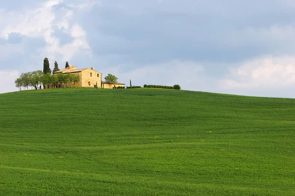 Val Orcia Área Toscana Itália — Fotografia de Stock
