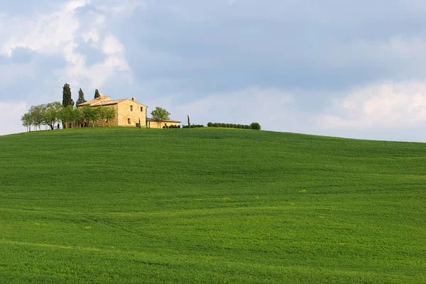 Val Orcia Region Toskana Italien — Stockfoto