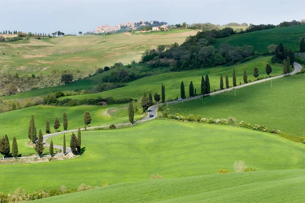 Val Orcia Area Tuscany Italy — стоковое фото