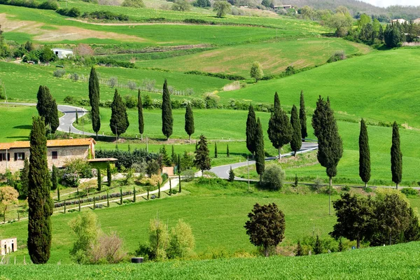Val Orcia Area Tuscany Italy — Stock Photo, Image