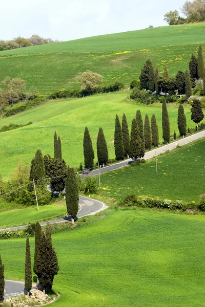 Val Orcia Alan Toskana Talya — Stok fotoğraf