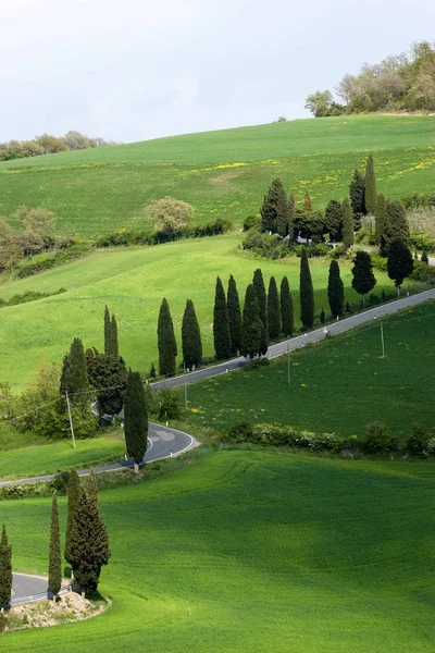 Val Orcia Area Toscana Italia — Foto Stock