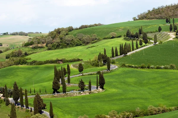 Val Orcia Oblasti Toskánsko Itálie — Stock fotografie