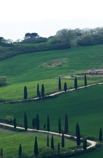 Val Orcia Area Toscana Italia — Foto Stock