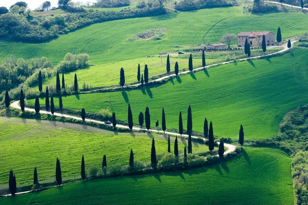 Natureza verde na Toscana — Fotografia de Stock