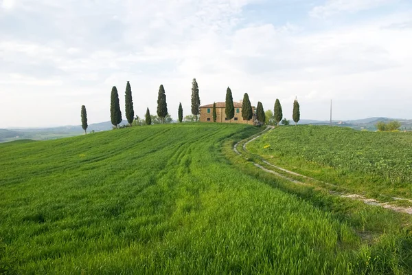 Val Orcia Területén Toszkána Olaszország — Stock Fotó