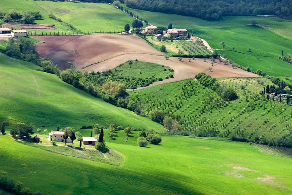 Val Orcia Területén Toszkána Olaszország — Stock Fotó