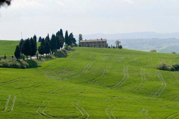 Val Orcia Obszar Toskania Włochy — Zdjęcie stockowe