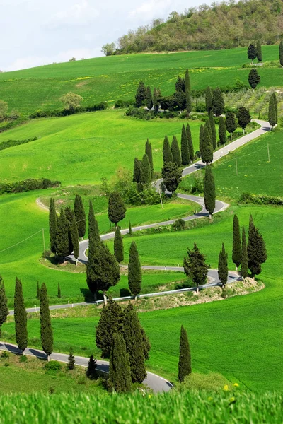 Val d'orcia in toscana — Foto Stock