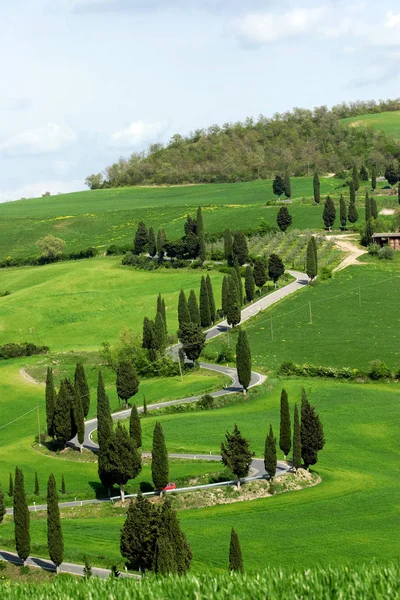 Val Orcia Area Tuscany Italy — стоковое фото