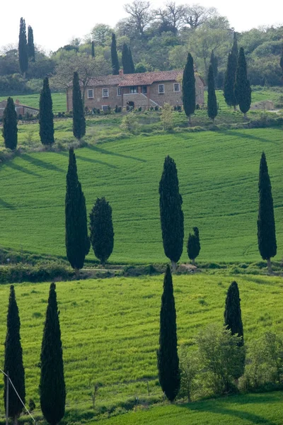 Val d 'orcia in Tuscany italy — стоковое фото