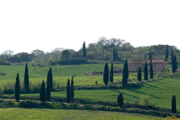 Val Orcia Obszar Toskania Włochy — Zdjęcie stockowe