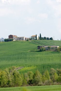 Val d'orcia alan yeşil çayırlar