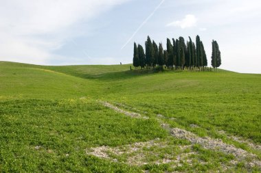 Val d'orcia alan yeşil çayırlar
