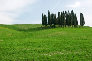 Val d'orcia alan Toskana