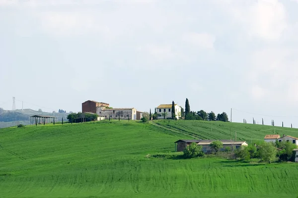 Val d 'orcia Bereich grüne Wiesen — Stockfoto