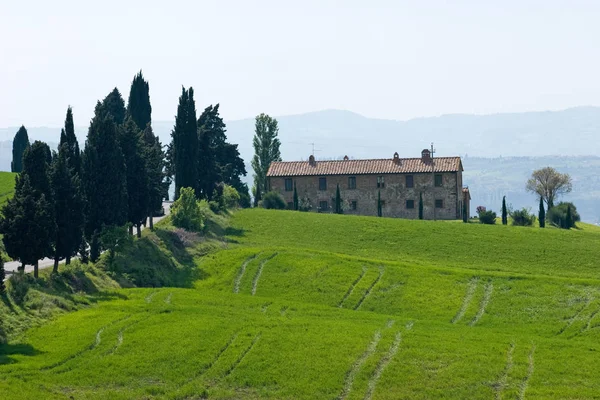 Val d'orcia området gröna ängar — Stockfoto