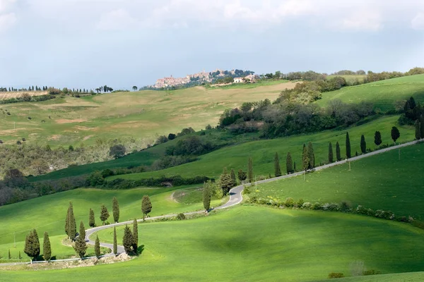 Natura toscana in Toscana — Foto Stock