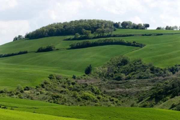 Natura toscana in Toscana — Foto Stock