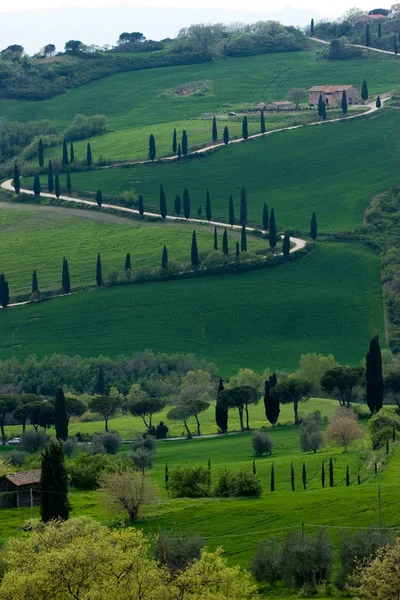 Val d'orcia area in tuscany — Stock Photo, Image