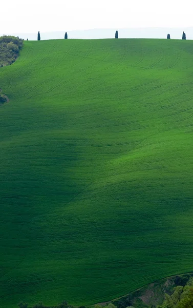 Val d 'orcia área na Toscana — Fotografia de Stock