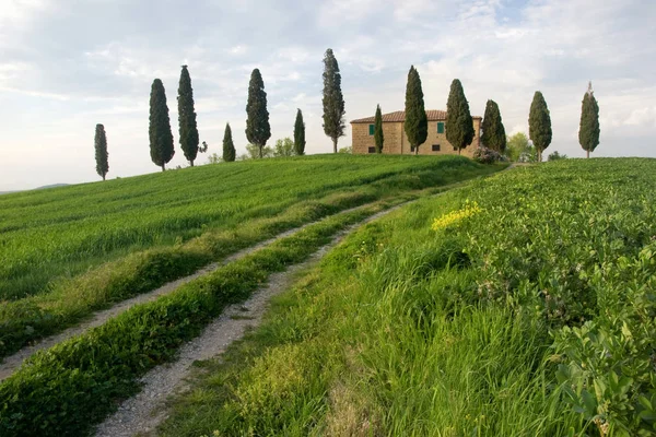 Oblast Val d'orcia v Toskánsku — Stock fotografie