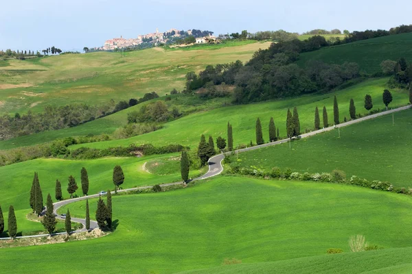 Val d'orcia area in tuscany — Stock Photo, Image