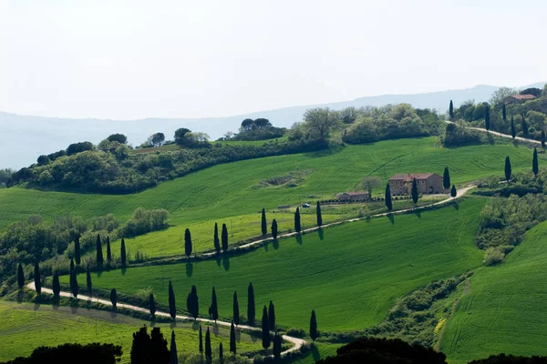 Zona de Val d 'orcia — Fotografia de Stock