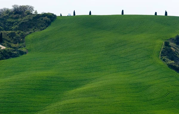 Zona della Val d'orcia — Foto Stock