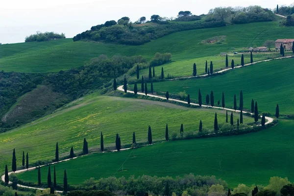 Val d 'orcia terület — Stock Fotó