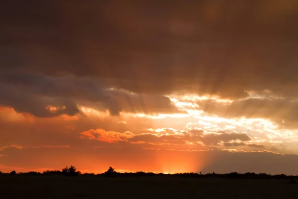 Masai Mara Sunset Kenya — Stock Photo, Image