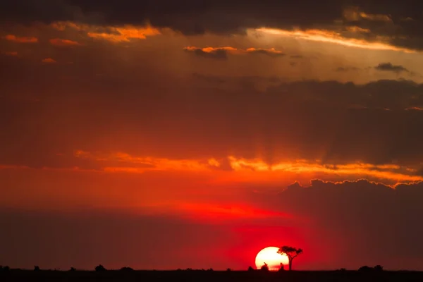 Zonsondergang in de masai mara reserve — Stockfoto