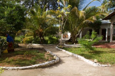 Zanzibar plajına yakın tipik bir ev