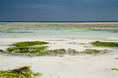 güzel bir plaj ve deniz zanzibar Hint Okyanusu
