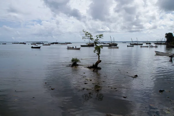 Denize Taş Zanzibar Kasabada Harbo Yakın — Stok fotoğraf