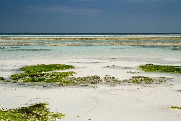 Beautiful Beach Sea Zanzibar Indian Ocean — Stock Photo, Image