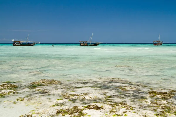 Den Vackra Stranden Och Havet Zanzibar Indiska Oceanen — Stockfoto