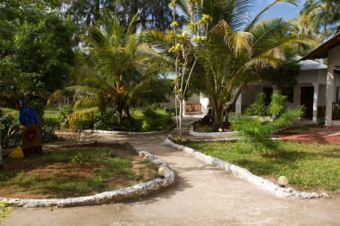 Zanzibar plajına yakın tipik bir ev
