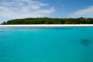 güzel bir plaj ve deniz zanzibar Hint Okyanusu