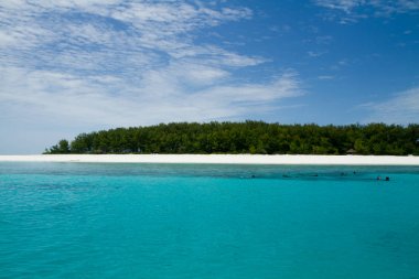 güzel bir plaj ve deniz zanzibar Hint Okyanusu
