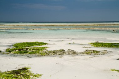 güzel bir plaj ve deniz zanzibar Hint Okyanusu