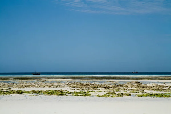 Beautiful Beach Sea Zanzibar Indian Ocean — Stock Photo, Image